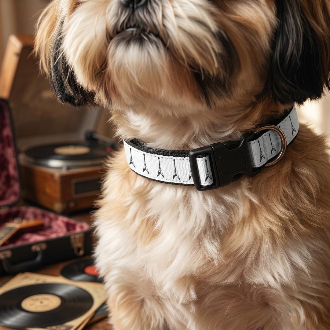 V Guitar Pattern Clip-on Pet Collar | Music Note Design, Adjustable