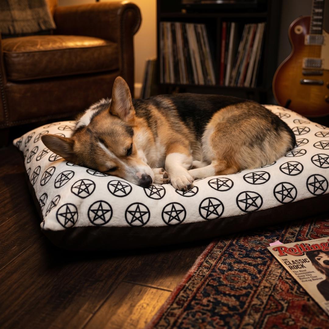 Black Pentagram Pattern Pet Bed |  Print Dog Cat Bed