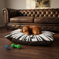 Lightning Burst Pet Bed | Electric Print, Coral Fleece Top
